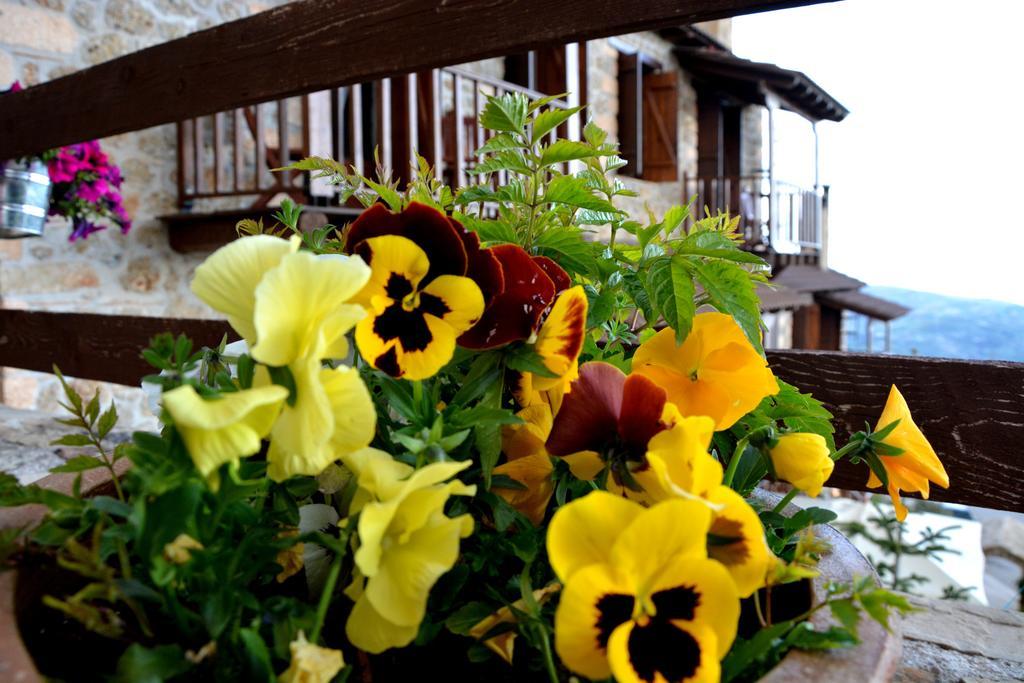 Nymfes Guesthouse Synikia Mesi Trikalon Oda fotoğraf