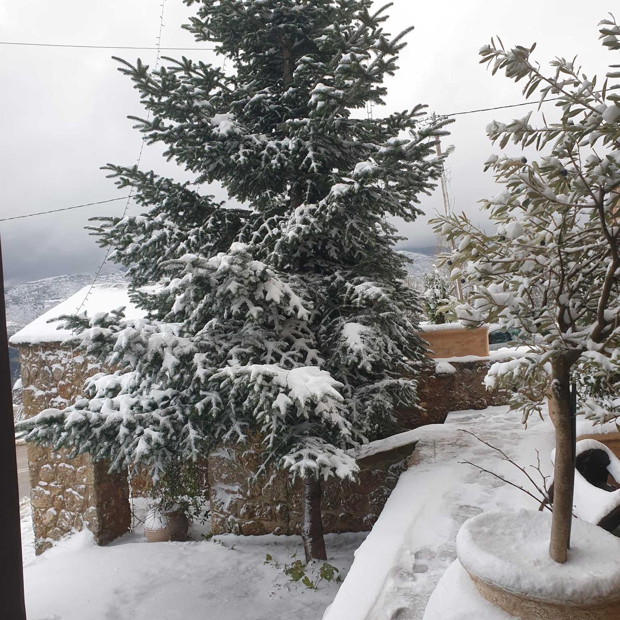 Nymfes Guesthouse Synikia Mesi Trikalon Dış mekan fotoğraf